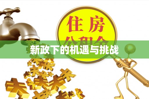 宁德新政下的机遇与挑战