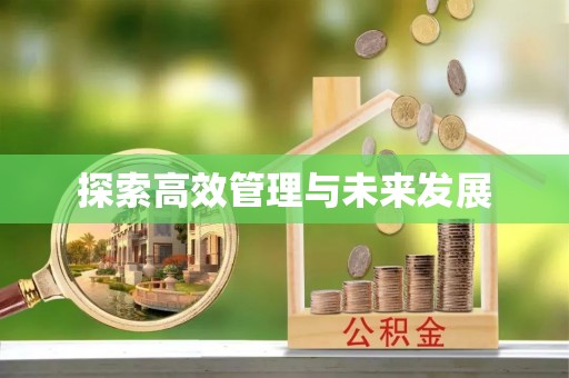 宁德探索高效管理与未来发展