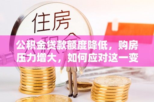 宁德公积金贷款额度降低，购房压力增大，如何应对这一变化？