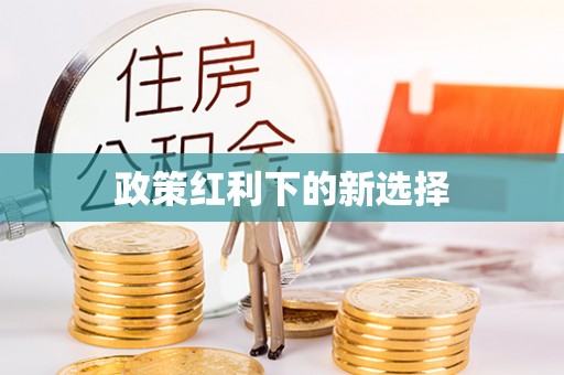 宁德政策红利下的新选择