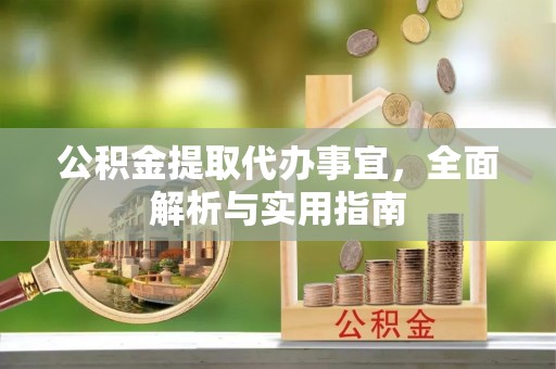 宁德公积金提取代办事宜，全面解析与实用指南