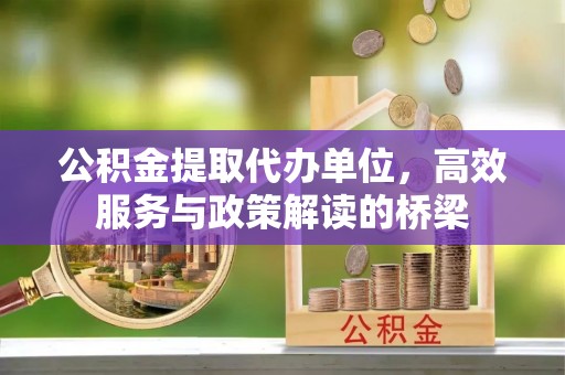 宁德公积金提取代办单位，高效服务与政策解读的桥梁