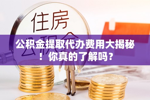 宁德公积金提取代办费用大揭秘！你真的了解吗？