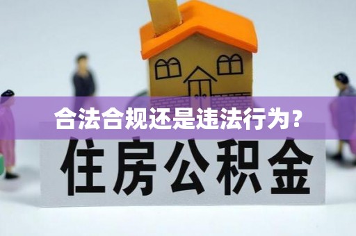 宁德合法合规还是违法行为？
