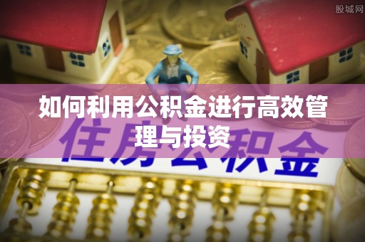 宁德如何利用公积金进行高效管理与投资