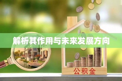 宁德解析其作用与未来发展方向